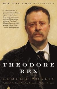 bokomslag Theodore Rex