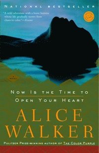 bokomslag Now Is the Time to Open Your Heart: Now Is the Time to Open Your Heart: A Novel