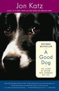 bokomslag A Good Dog: The Story of Orson, Who Changed My Life
