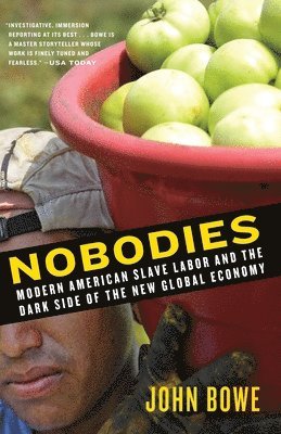 bokomslag Nobodies: Modern American Slave Labor and the Dark Side of the New Global Economy