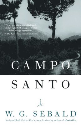 Campo Santo 1