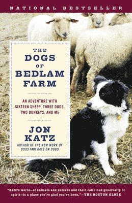 bokomslag The Dogs of Bedlam Farm: An Adventure with Sixteen Sheep, Three Dogs, Two Donkeys, and Me