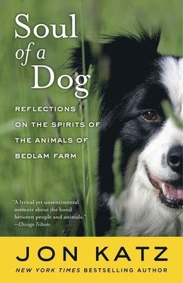 bokomslag Soul of a Dog: Reflections on the Spirits of the Animals of Bedlam Farm