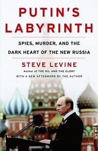 bokomslag Putin's Labyrinth