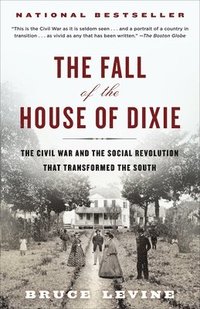 bokomslag The Fall of the House of Dixie