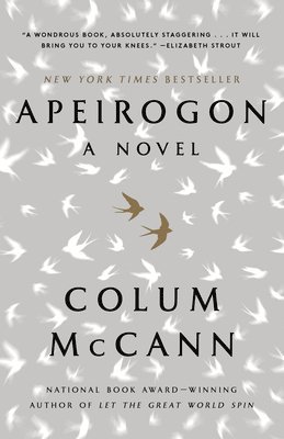 bokomslag Apeirogon: A Novel