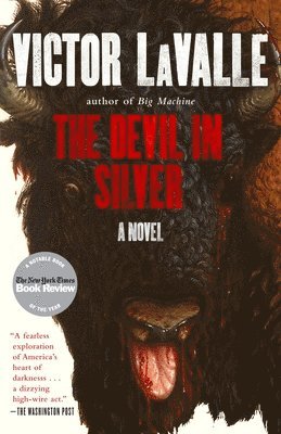 bokomslag The Devil in Silver: The Devil in Silver: A Novel