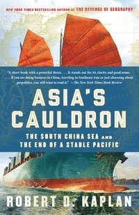 bokomslag Asia's Cauldron