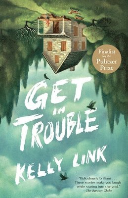 Get in Trouble: Stories 1