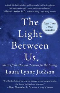 bokomslag The Light Between Us: Stories from Heaven. Lessons for the Living.