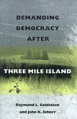 bokomslag Demanding Democracy After Three Mile Island