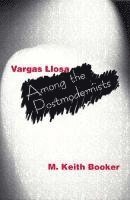 bokomslag Vargas Llosa Among the Postmodernists
