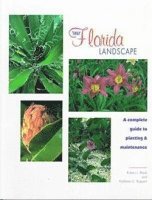 Your Florida Landscape 1