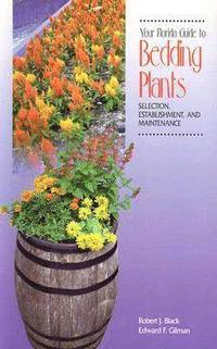 bokomslag Your Florida Guide to Bedding Plants