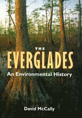 Everglades