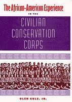 bokomslag African-American Experience in the Civilian Conservation Corps