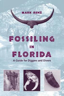 bokomslag Fossiling in Florida
