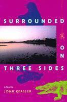 Surrounded on Three Sides