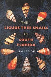 bokomslag The Liguus Tree Snails of South Florida