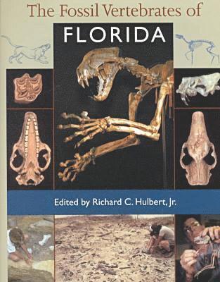bokomslag Fossil Vertebrates of Florida