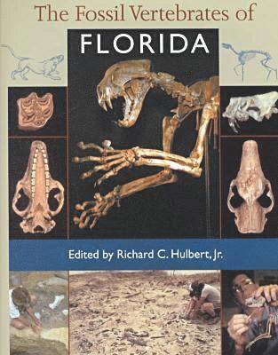 bokomslag The Fossil Vertebrates of Florida