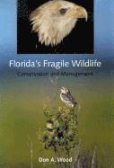 bokomslag Florida's Fragile Wildlife