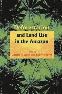 bokomslag Deforestation and Land Use in the Amazon