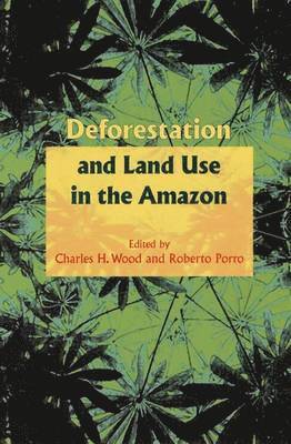 bokomslag Deforestation and Land Use in the Amazon