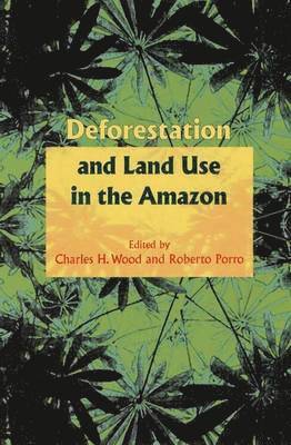 bokomslag Deforestation and Land Use in the Amazon