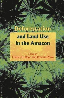 Deforestation and Land Use in the Amazon