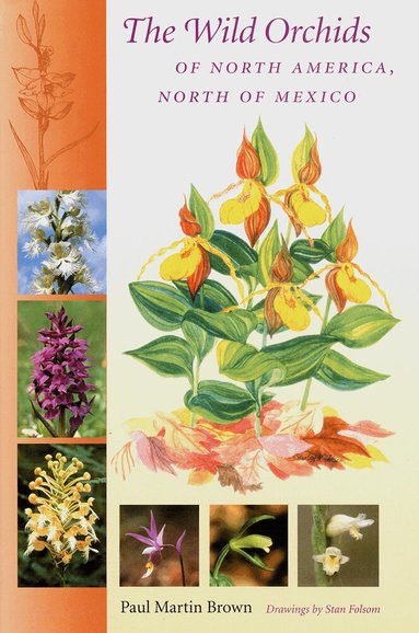 Paul Martin Brown - Wild Orchids of North America, North of Mexico, Häftad