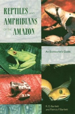 Reptiles and Amphibians of the Amazon 1