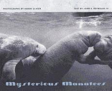 Mysterious Manatees 1