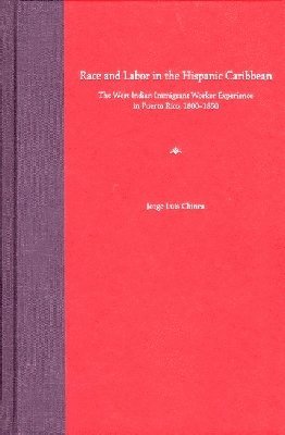 bokomslag Race and Labor in the Hispanic Caribbean