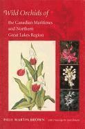 Wild Orchids of the Canadian Maritimes and Northern Great Lakes Region 1