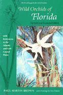 bokomslag Wild Orchids of Florida