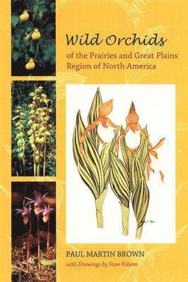 bokomslag Wild Orchids of the Prairies and Great Plains Region of North America