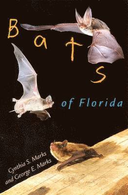 bokomslag Bats of Florida