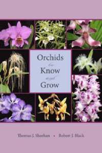 bokomslag Orchids to Know and Grow