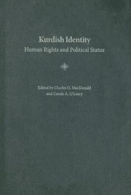 bokomslag Kurdish Identity