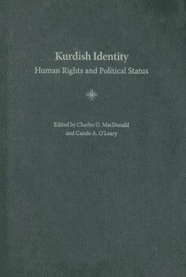 bokomslag Kurdish Identity