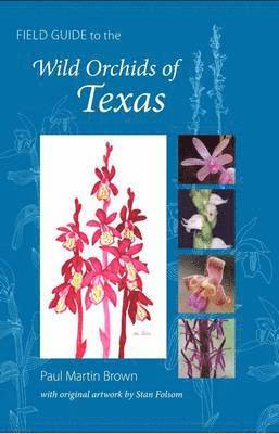 bokomslag Field Guide to the Wild Orchids of Texas