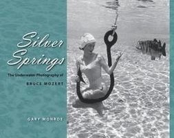 Silver Springs 1