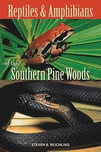 bokomslag Reptiles and Amphibians of the Southern Pine Woods