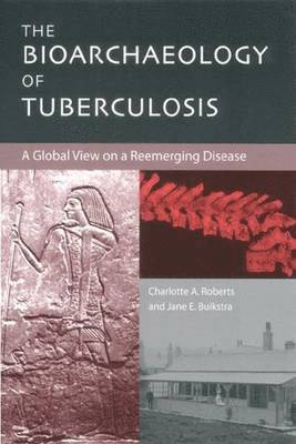 bokomslag The Bioarchaeology of Tuberculosis