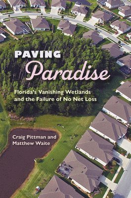 Paving Paradise 1