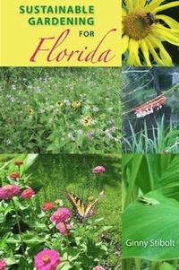 bokomslag Sustainable Gardening For Florida