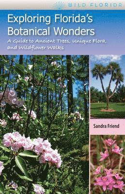 Exploring Florida'S Botanical Wonders
