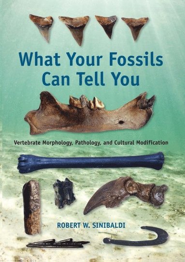 bokomslag What Your Fossils Can Tell You