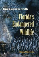 bokomslag Encounters with Florida's Endangered Wildlife